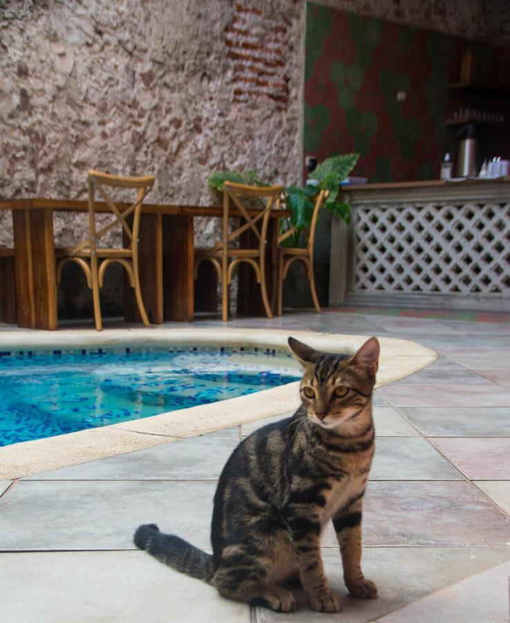 Casa Zahri Boutique Hostel Cartagena Екстер'єр фото